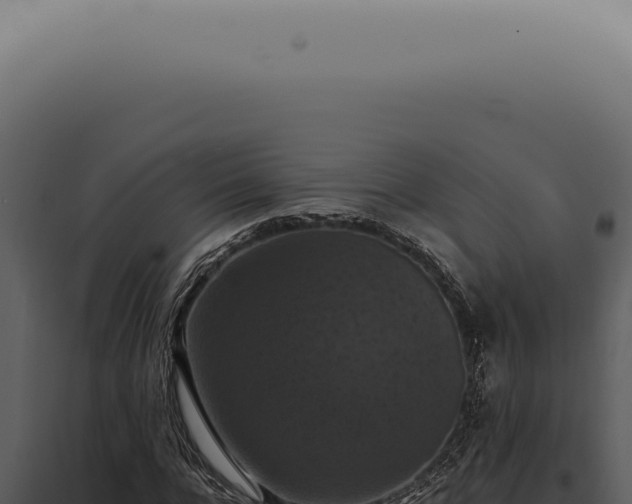 X0000098000920200804011829