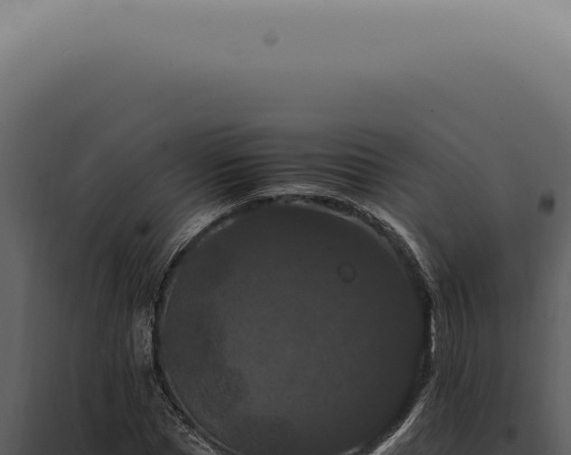 X0000098000921200804011829