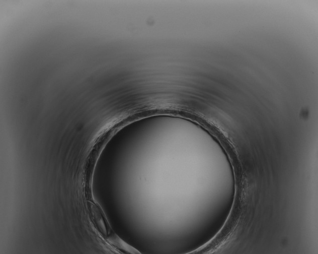 X0000098000922200804011829