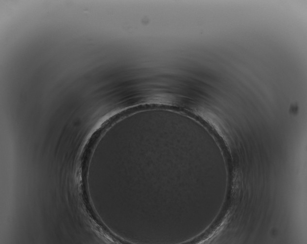 X0000098000923200804011829