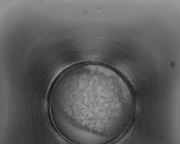 X0000098000924200804011829