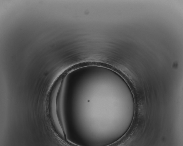 X0000098000926200804011829