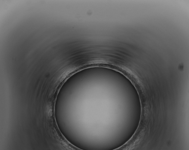 X0000098000929200804011829