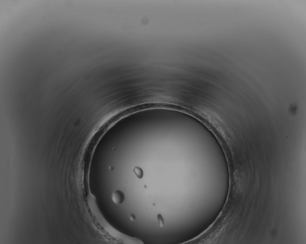 X0000098000931200804011829