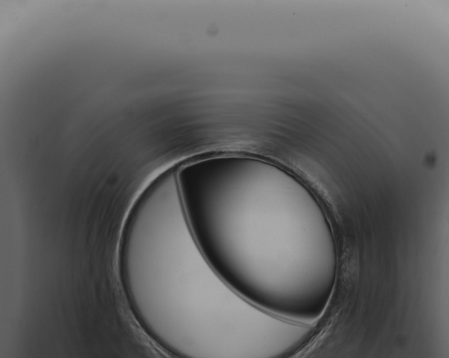 X0000098000932200804011829