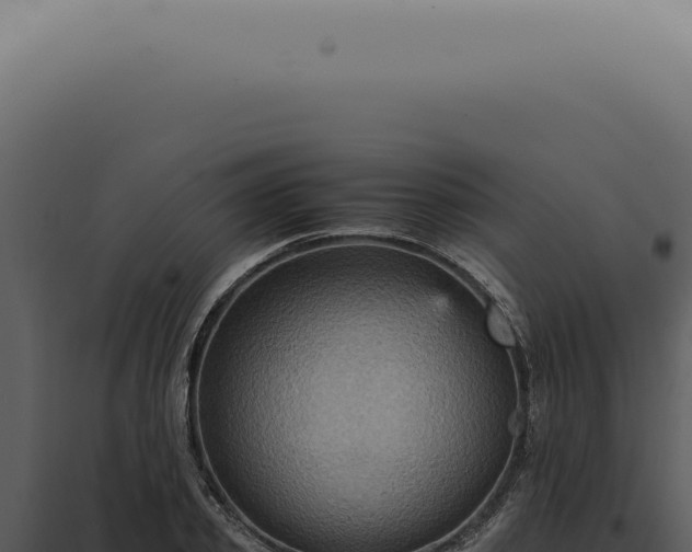 X0000098000933200804011829