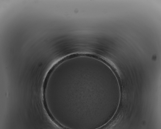 X0000098000935200804011829