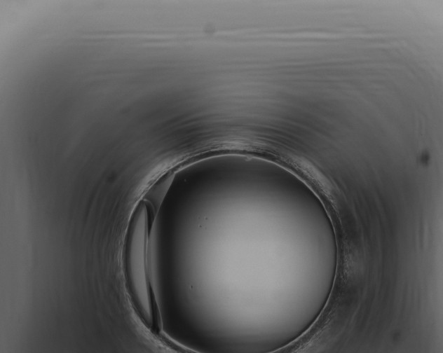 X0000098000938200804011829
