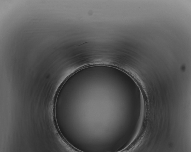 X0000098000941200804011829