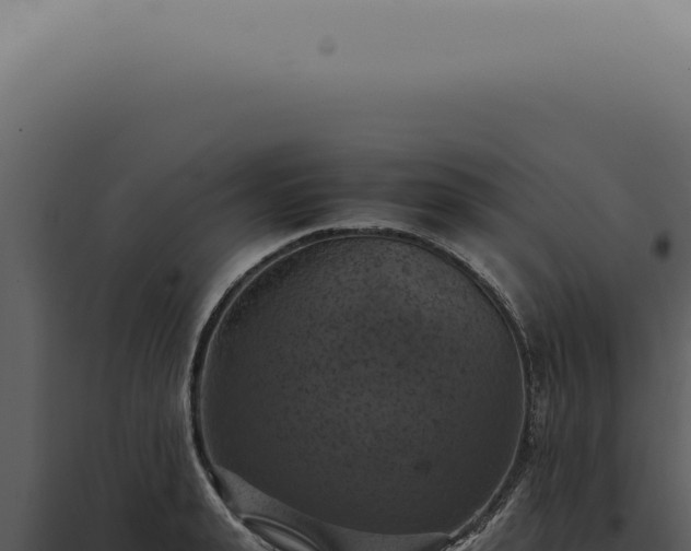 X0000098000943200804011829