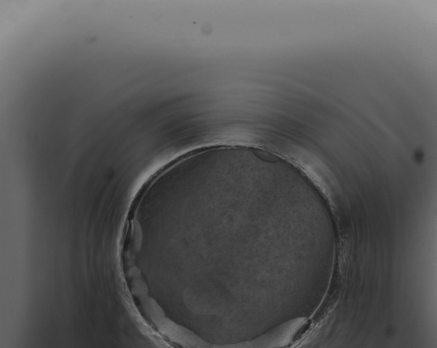 X0000098000944200804011829