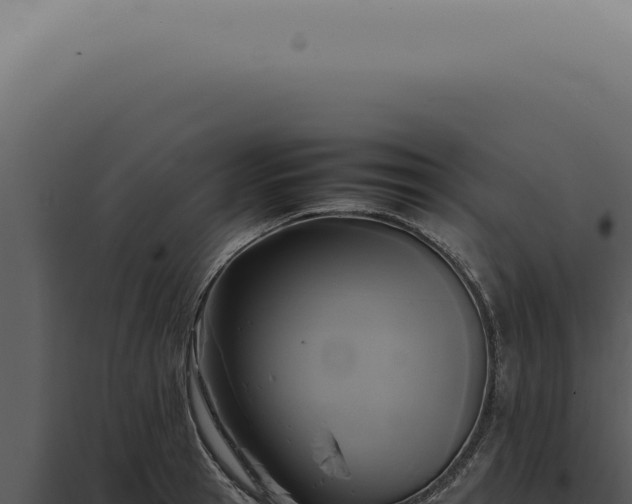 X0000098000945200804011829