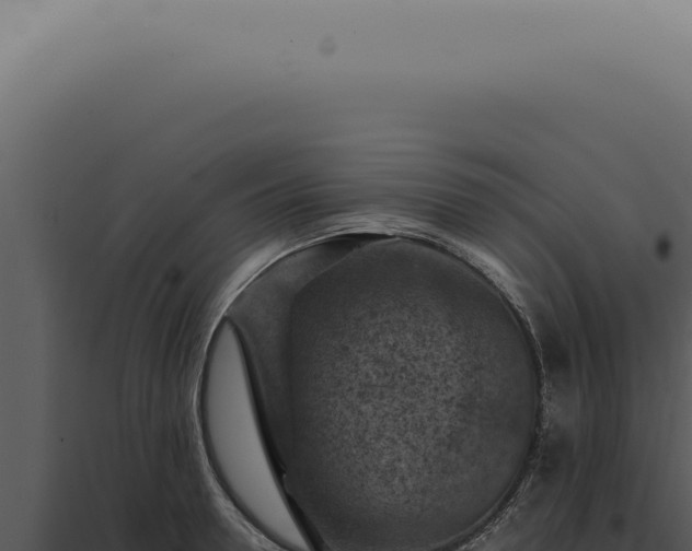 X0000098000946200804011829