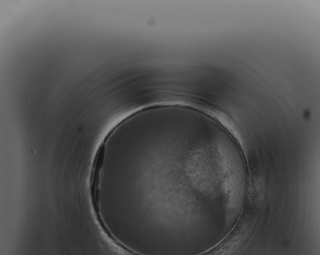 X0000098000951200804011829
