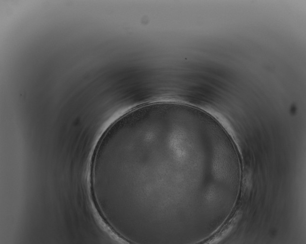 X0000098000957200804011829