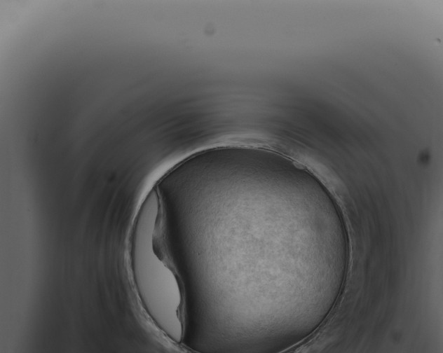 X0000098000960200804011830