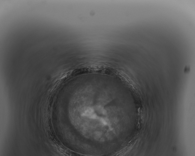 X0000098000961200804011829