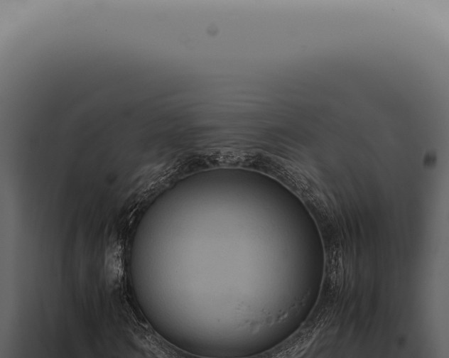 X0000098000962200804011829