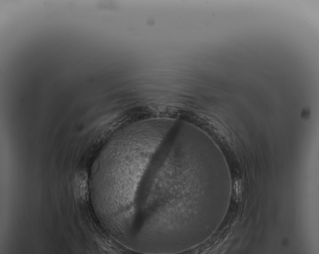 X0000098000963200804011829