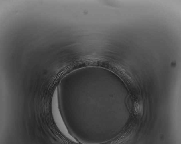 X0000098000964200804011829