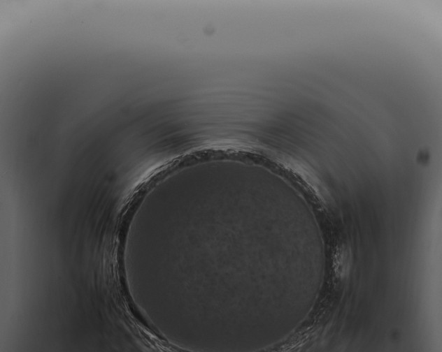 X0000098000968200804011829