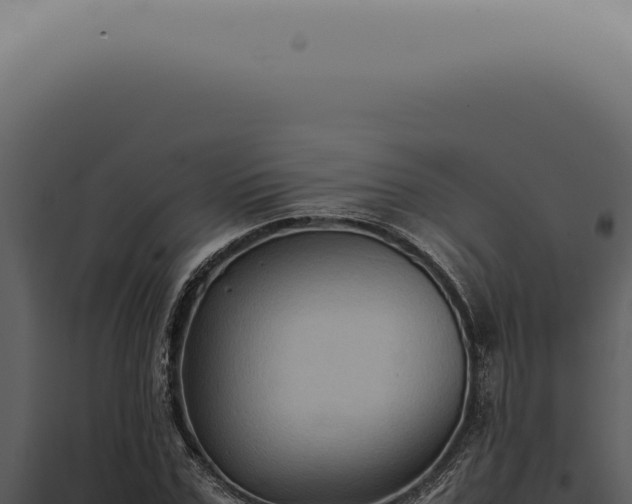 X0000098000971200804011829