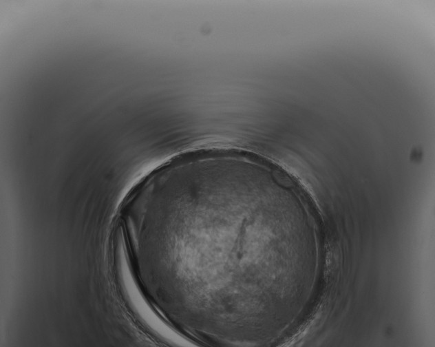X0000098000973200804011829