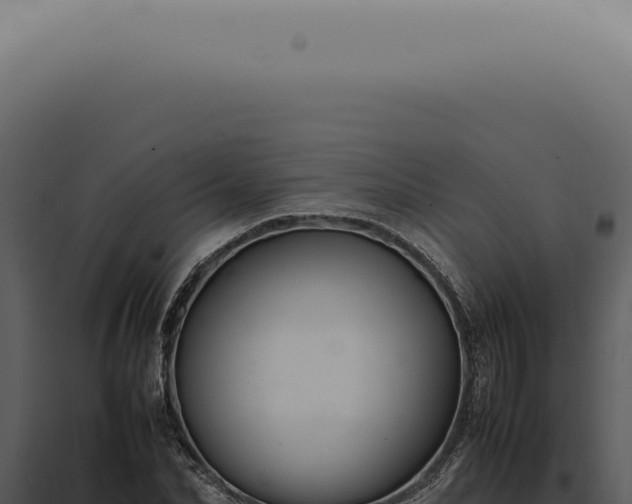 X0000098000974200804011829
