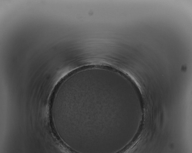 X0000098000975200804011829