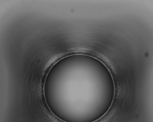 X0000098000978200804011829