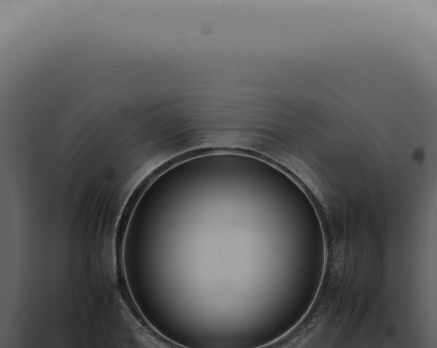 X0000098000980200804011829