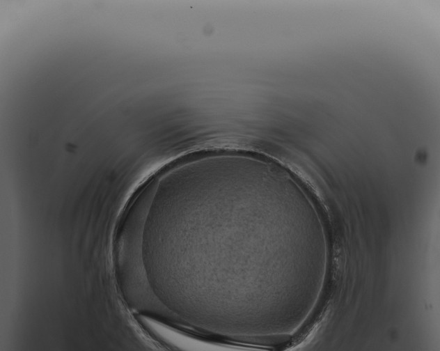 X0000098000981200804011829