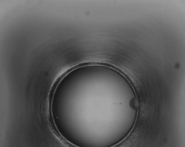 X0000098000982200804011829