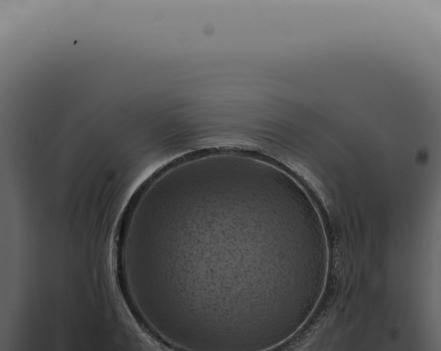 X0000098000983200804011829