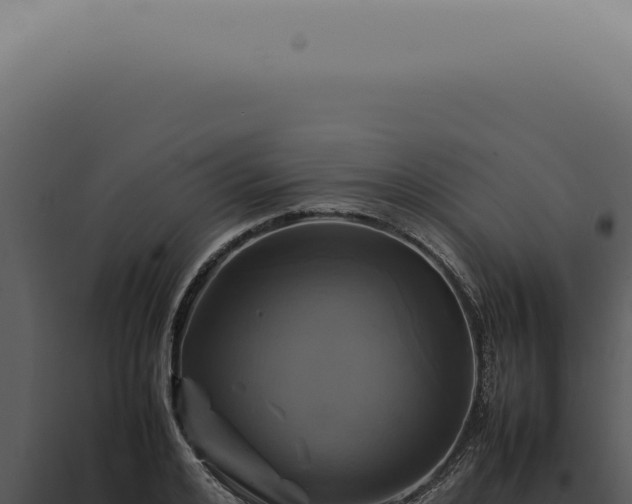 X0000098000984200804011829