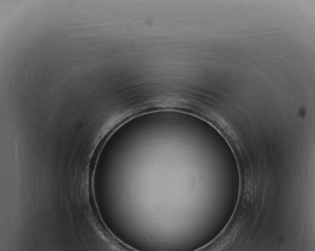 X0000098000986200804011829