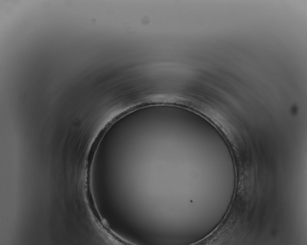 X0000098000992200804011828