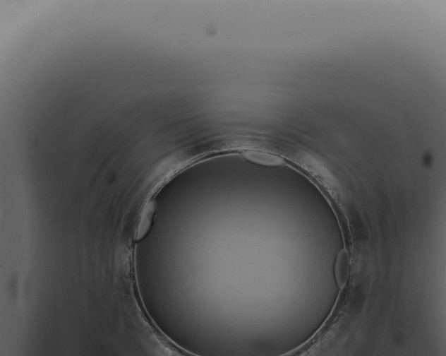 X0000098000993200804011828