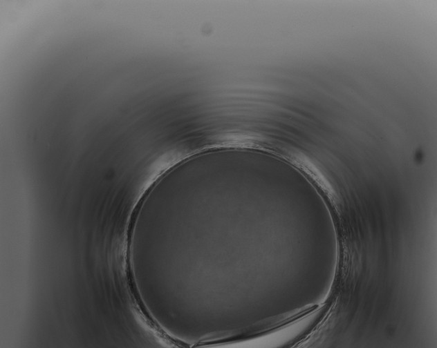 X0000098000994200804011828
