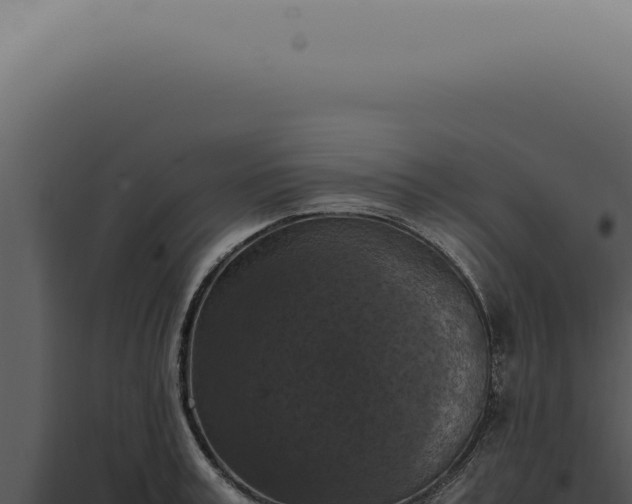 X0000098000995200804011828
