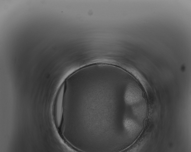 X0000098000999200804011828