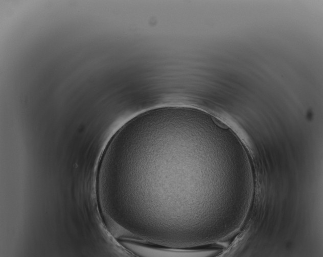 X0000098001004200804011828