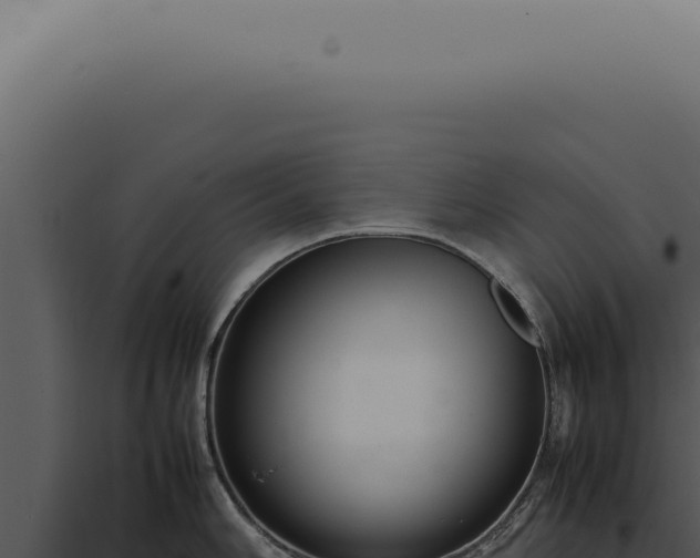 X0000098001006200804011828