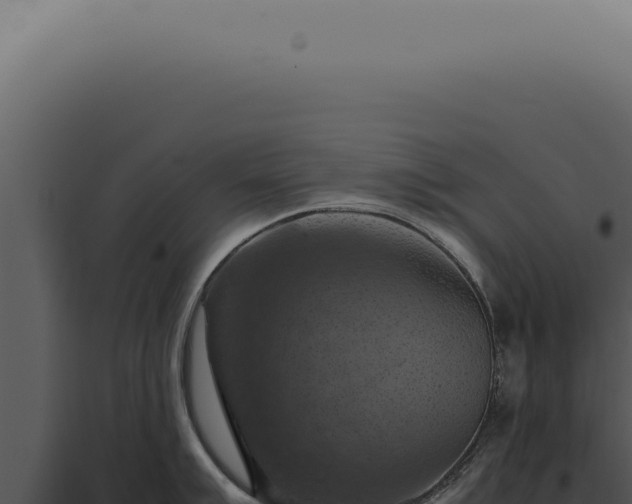 X0000098001007200804011828