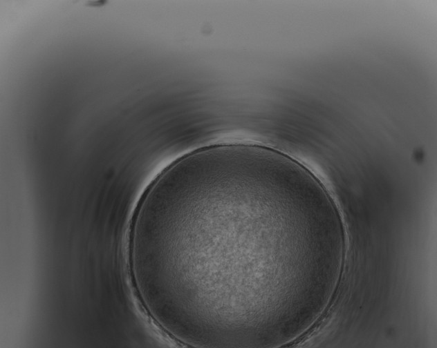 X0000098001008200804011828