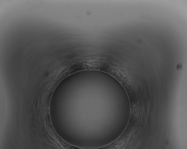 X0000098001009200804011827