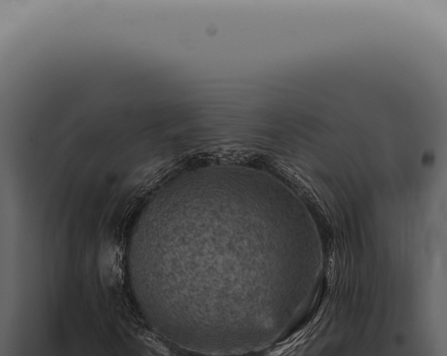 X0000098001010200804011827
