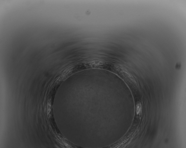 X0000098001011200804011827