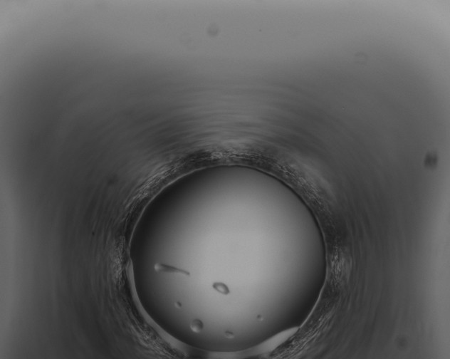 X0000098001012200804011827