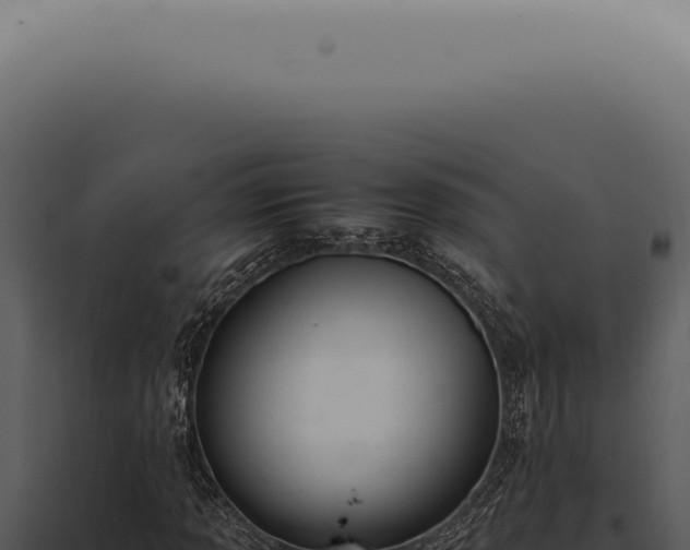X0000098001013200804011827